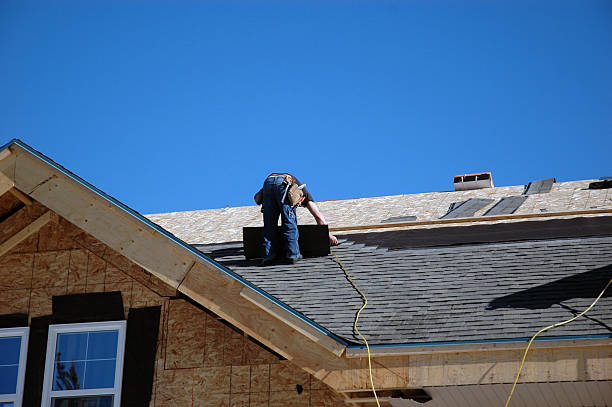 Best Roof Gutter Cleaning  in Pine Mountain, GA